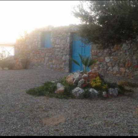 Villa Tsampika Πεύκος Εξωτερικό φωτογραφία