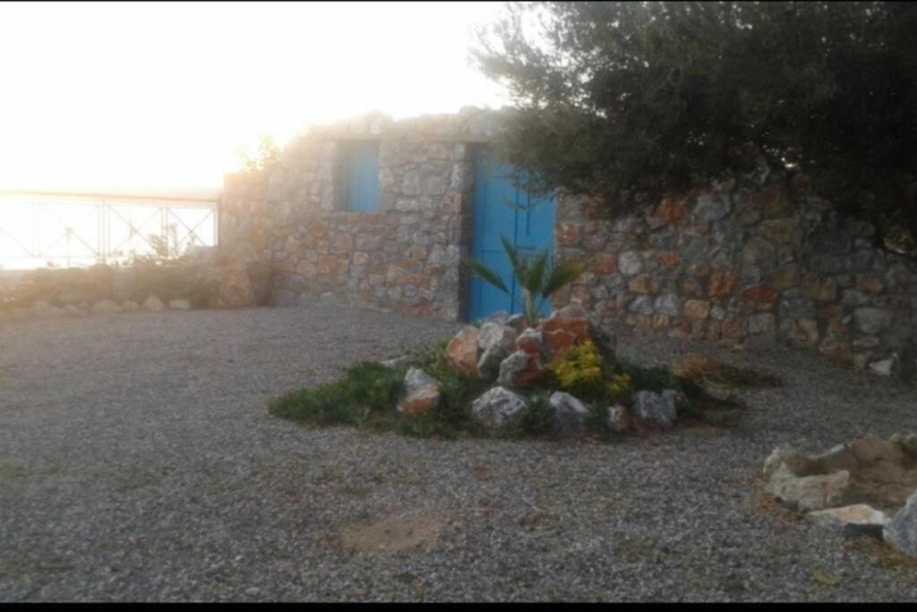 Villa Tsampika Πεύκος Εξωτερικό φωτογραφία