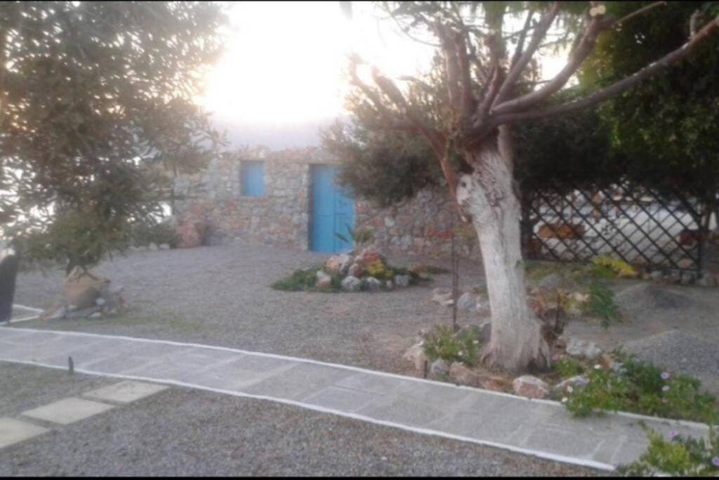 Villa Tsampika Πεύκος Εξωτερικό φωτογραφία