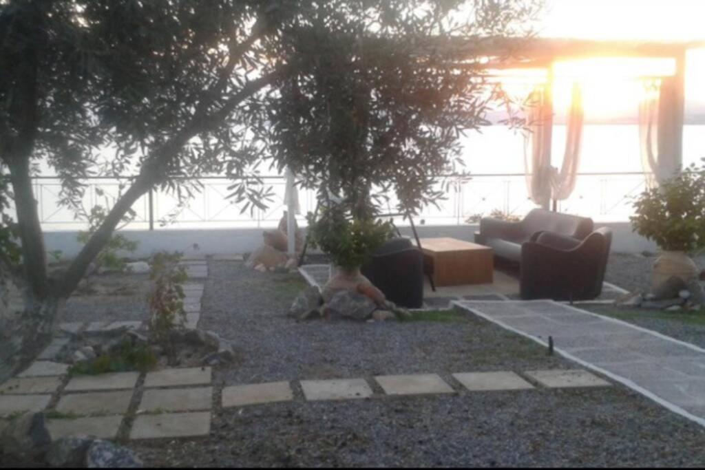 Villa Tsampika Πεύκος Εξωτερικό φωτογραφία